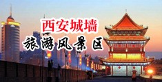 护士舔阴中国陕西-西安城墙旅游风景区